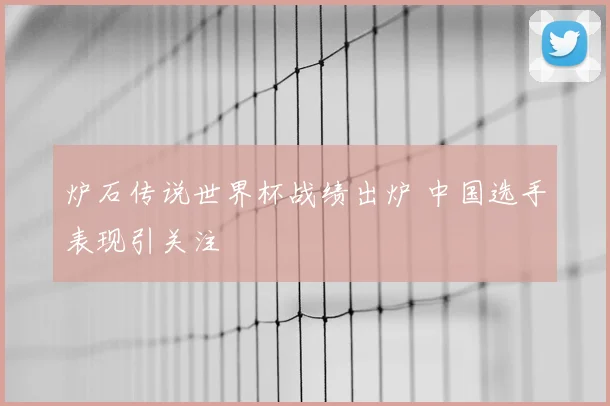 炉石传说世界杯战绩出炉 中国选手表现引关注