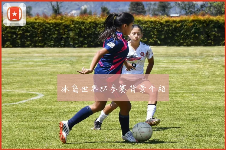冰岛世界杯参赛背景介绍